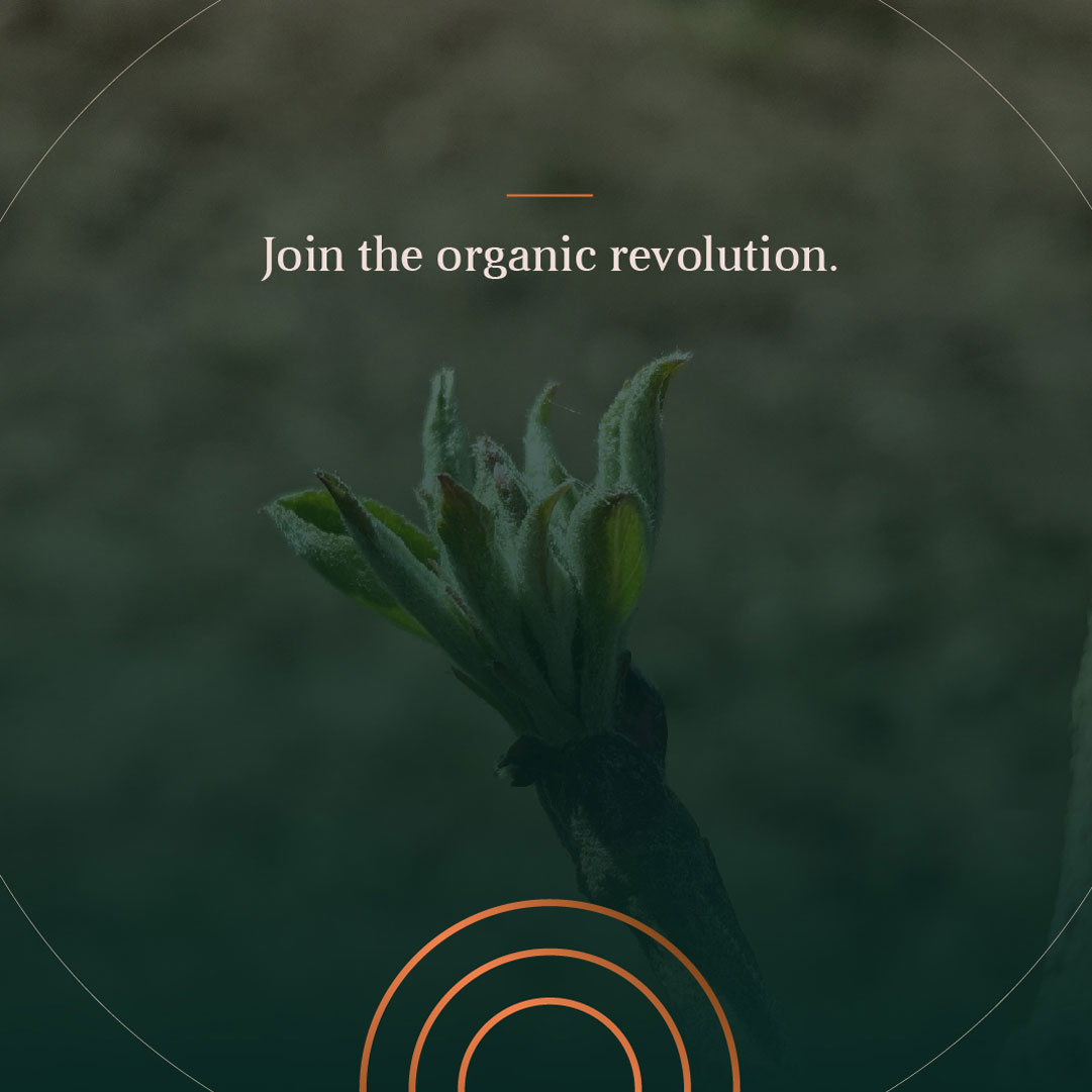 The Evolution: Part 1