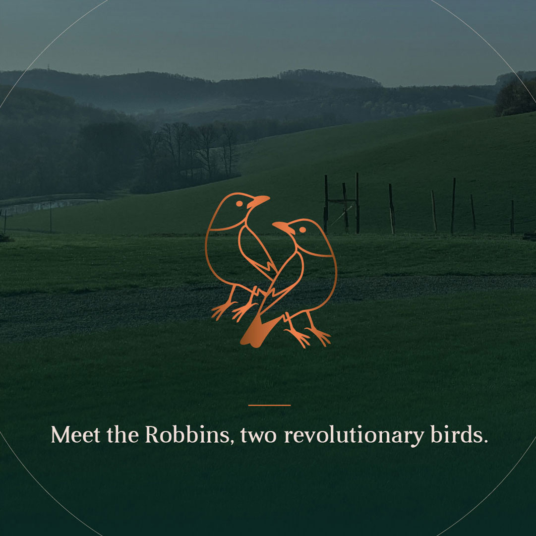 The Evolution: Part 2