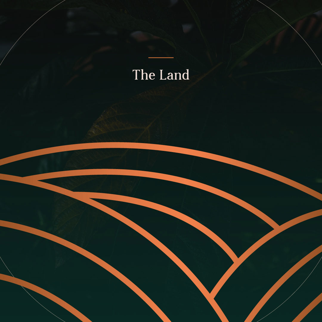 The Land: Part 1